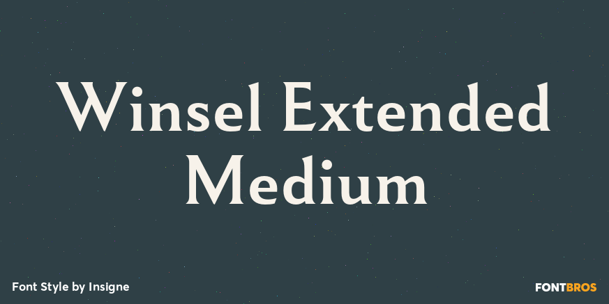 Winsel Extended Medium Poster