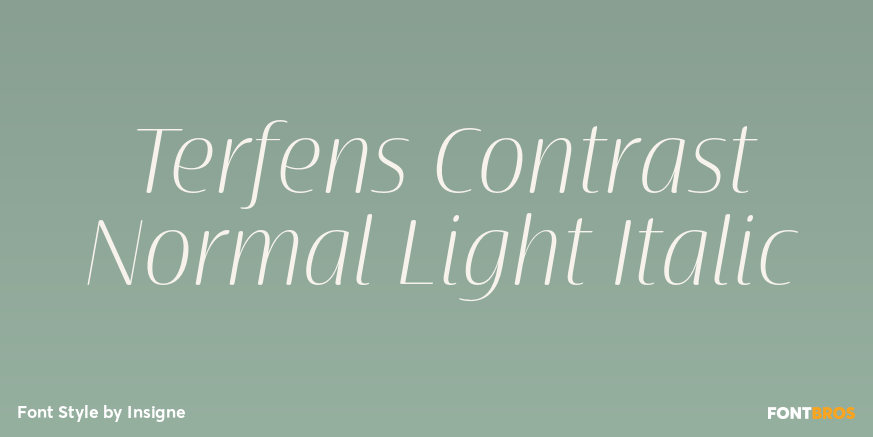 Terfens Contrast Normal Light Italic Poster