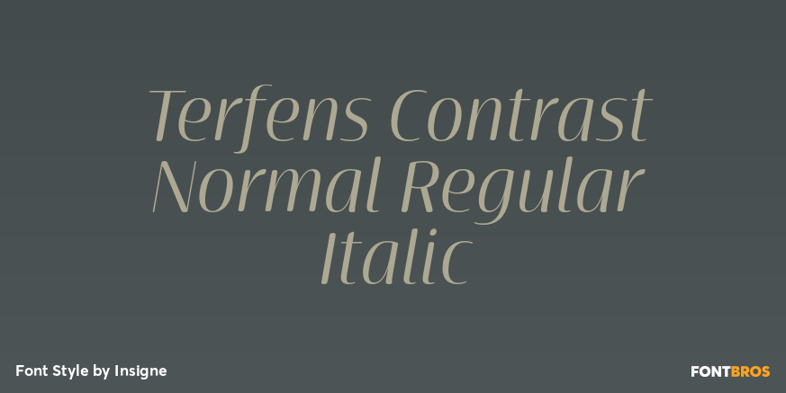 Terfens Contrast Normal Regular Italic Poster
