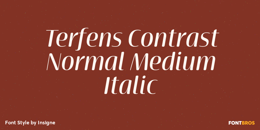 Terfens Contrast Normal Medium Italic Poster