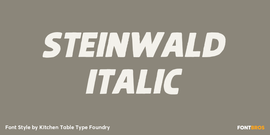 Steinwald Italic Poster