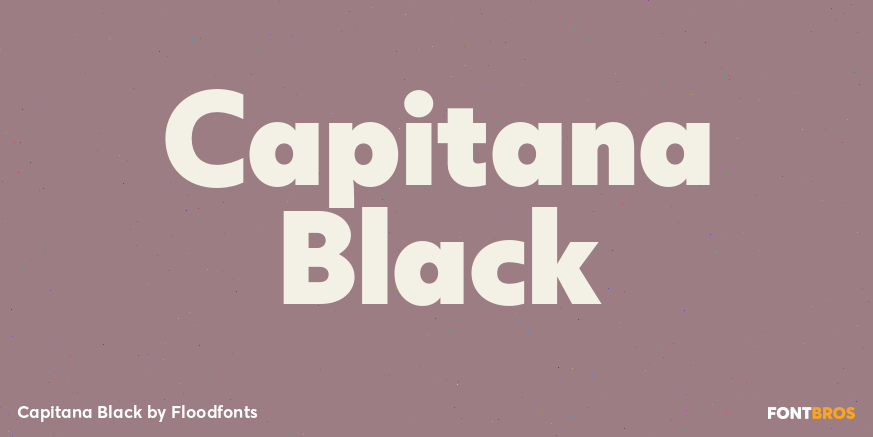 Capitana Black Poster