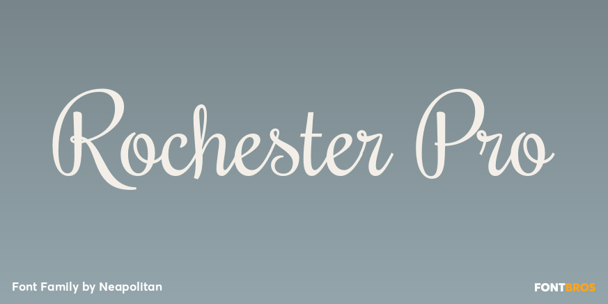 Rochester Pro Poster